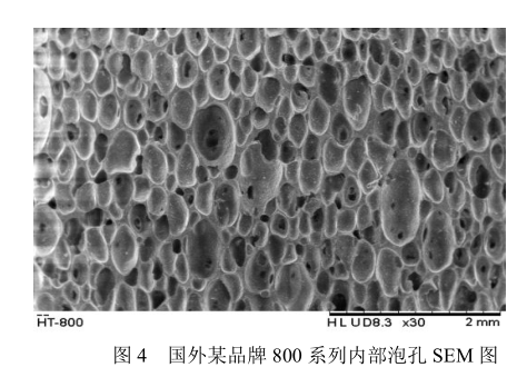 国外800系列硅胶泡棉泡孔SEM扫描电镜图 国外800系列硅胶泡棉泡孔SEM扫描电镜图